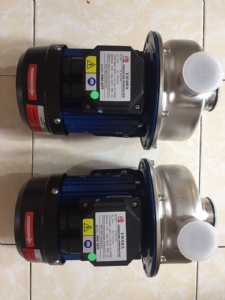 Bơm đĩa cánh hở inox EWARA DWO 037T